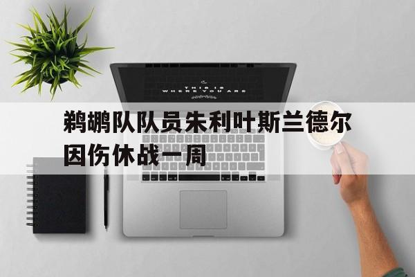 bet365平台官网-鹈鹕队队员朱利叶斯兰德尔因伤休战一周